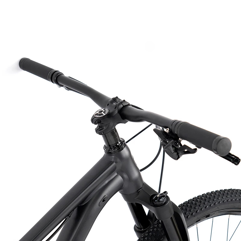 27,5 of 29 inch 13-versnelling - Mountain Biking Jumps recensie en prijs